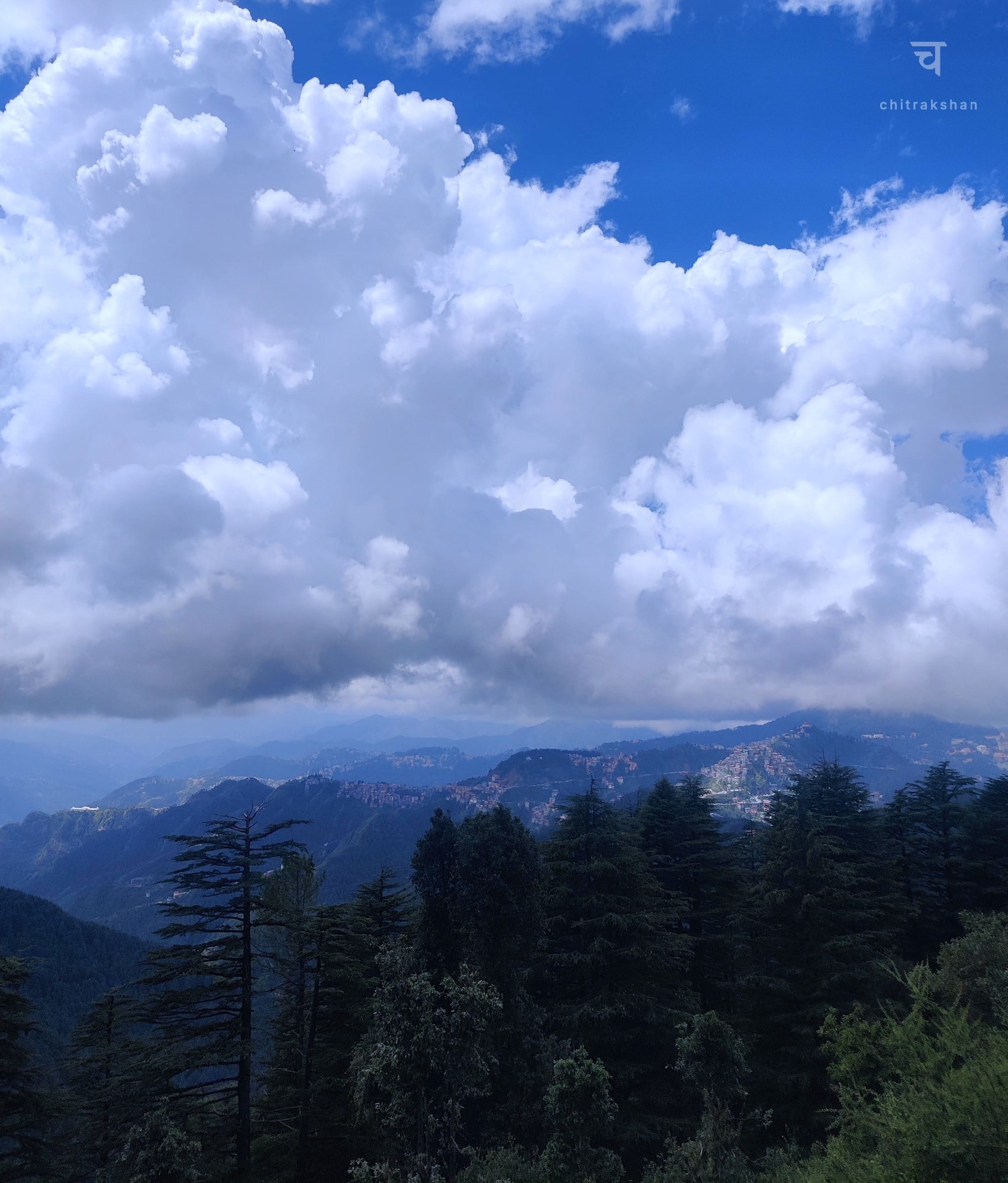 nature photo